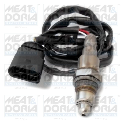 Oxygen Sensor